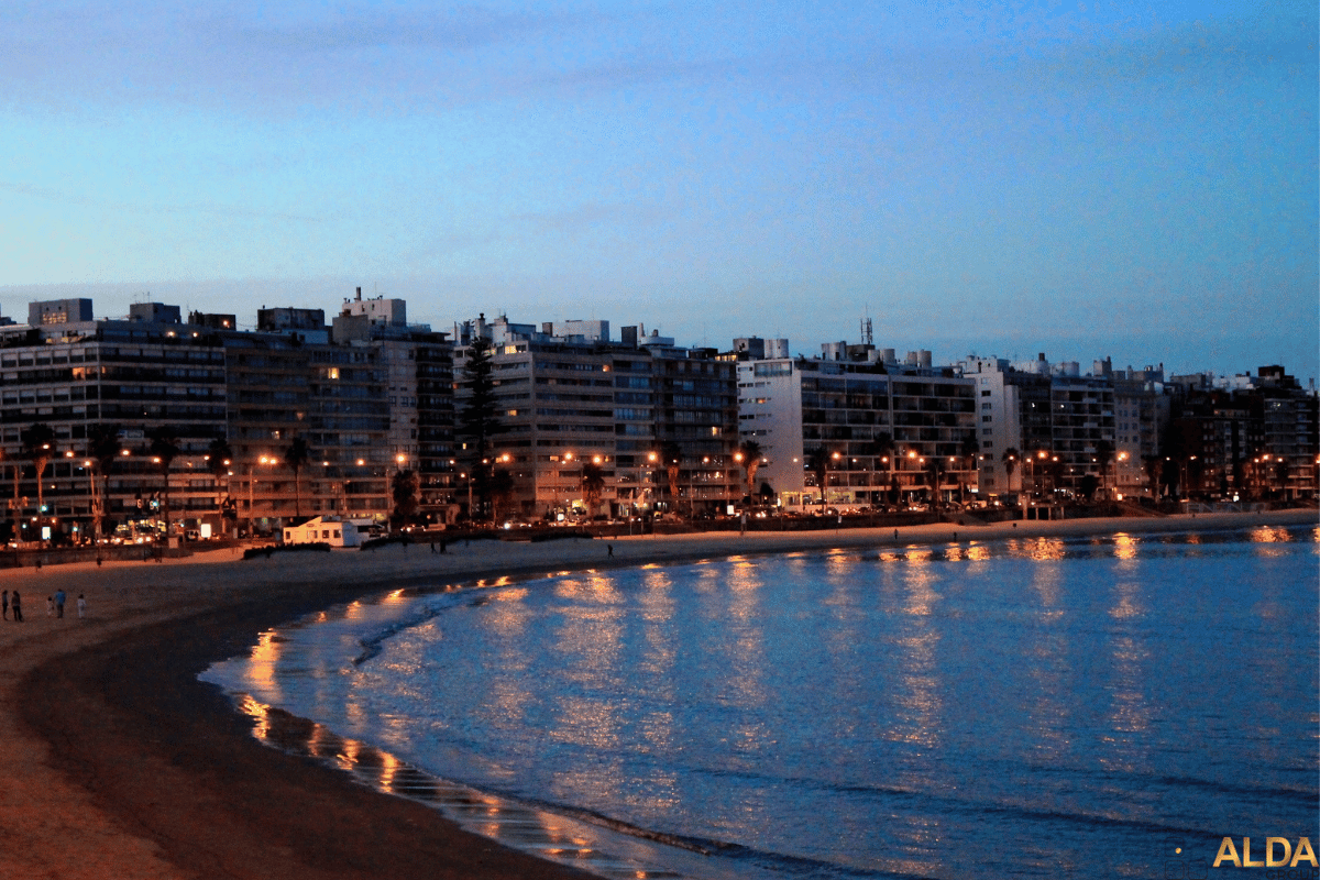 Pocitos Nuevo: inversión en apartamentos modernos y demanda de alquiler