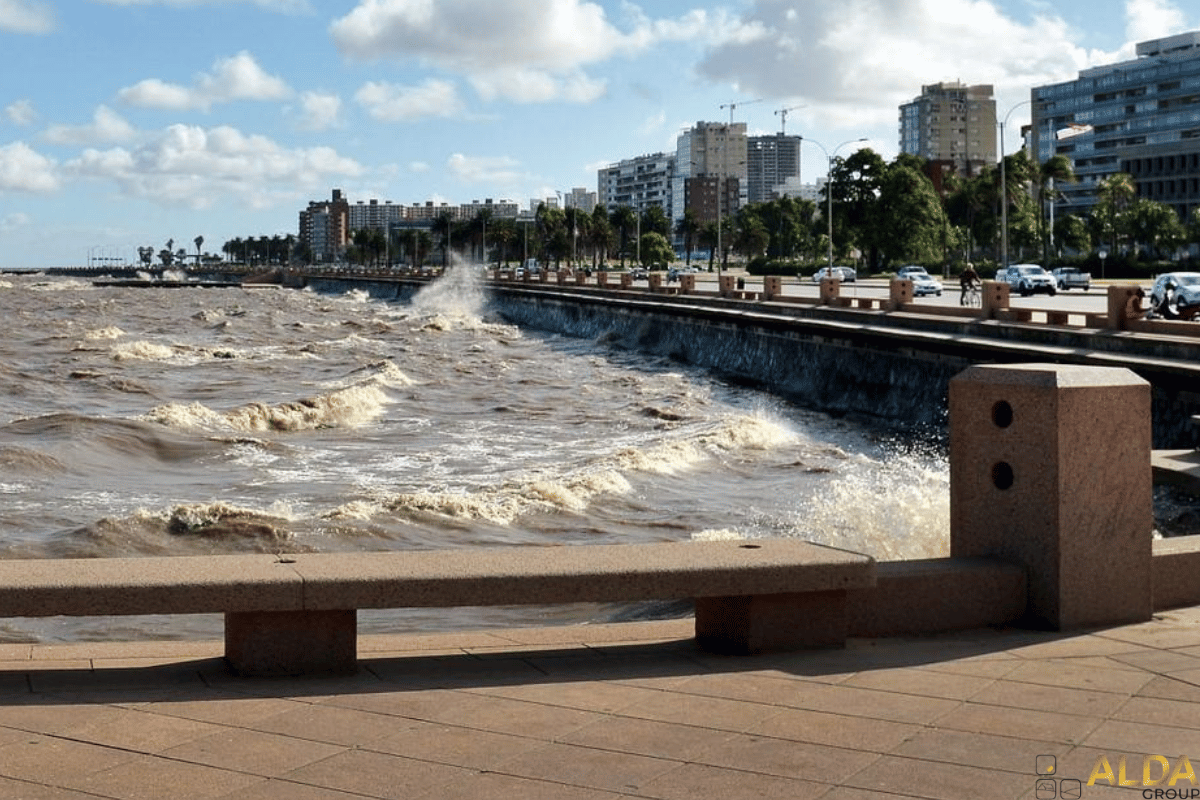 Checklist por barrio: qué revisar en una propiedad según la zona de Montevideo